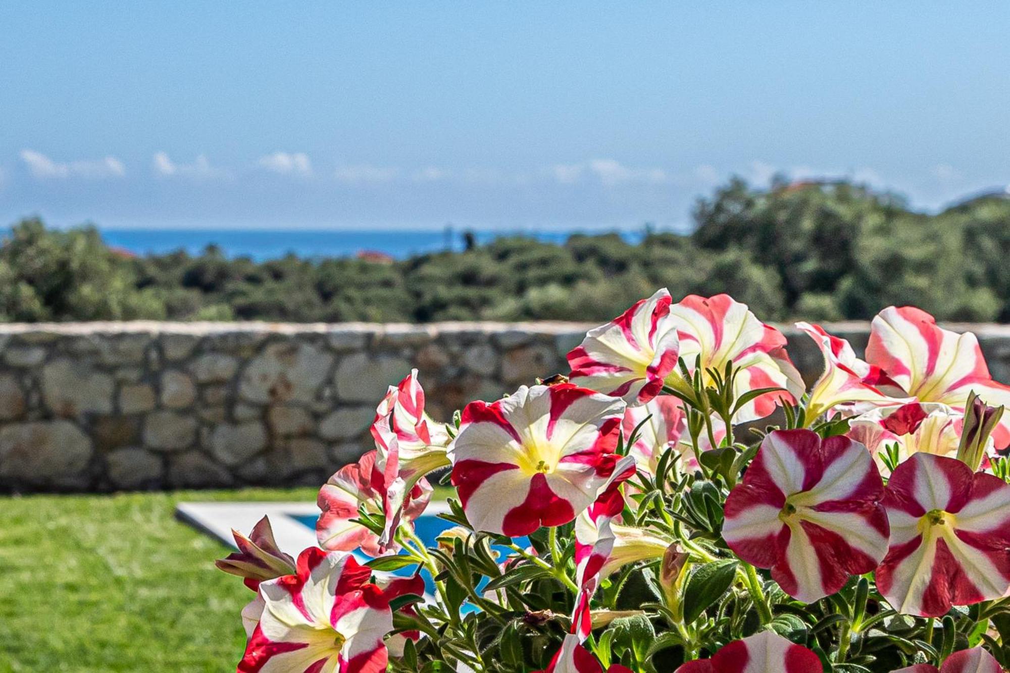 Villa Penelope Galatás 외부 사진